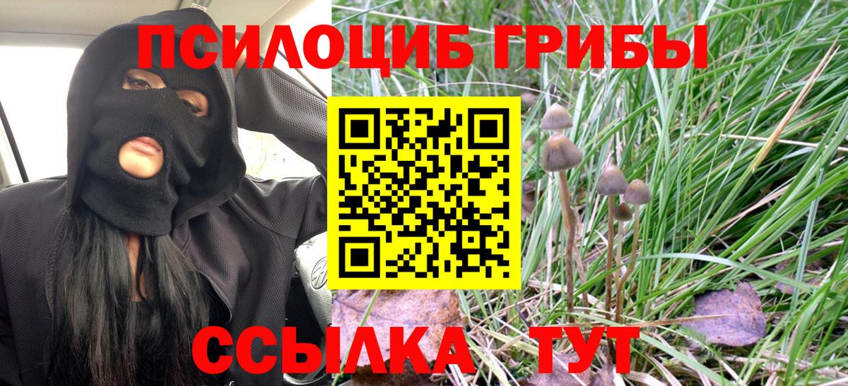 Псилоцибиновые грибы ЛСД Муром